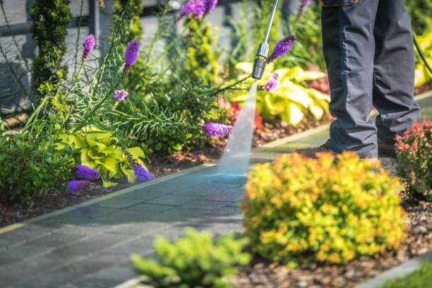 Best Animal Enclosure Cleaning  in Crooks, SD